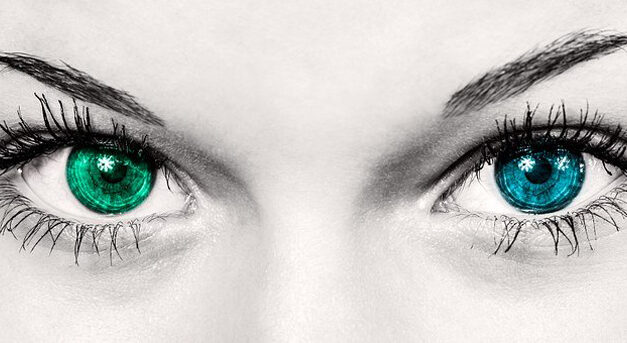 Personer med nedsatt syn  jobbar enkelt med eyeCRM