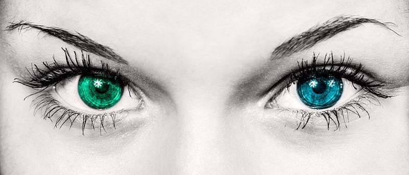 Personer med nedsatt syn  jobbar enkelt med eyeCRM