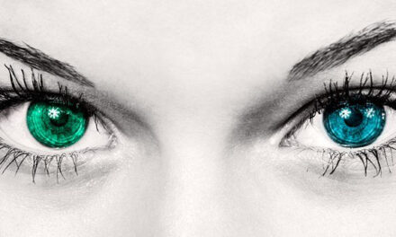 eyeHelper skapar datasystem för människor med nedsatt syn