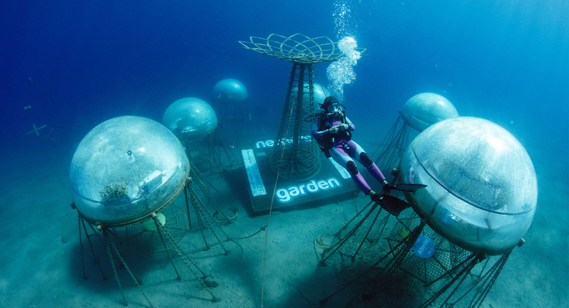 Siemens enables underwater farming revolution with digital twin solutions