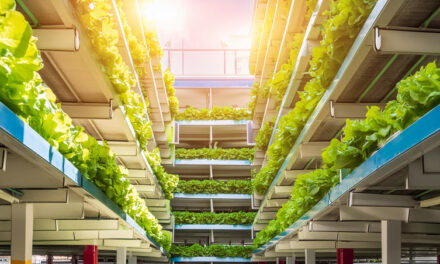 Nytt forskningsprojekt undersöker framtidens urbana odlingar i parkeringshus