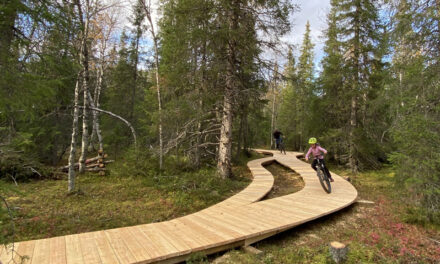 Akademiska Hus gör ny satsning på utemiljön vid Umeå universitet – bygger cykelpark för mountainbike